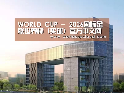 案例展示四