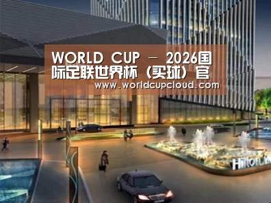 案例展示二