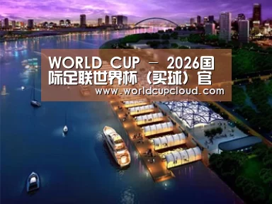 案例展示八