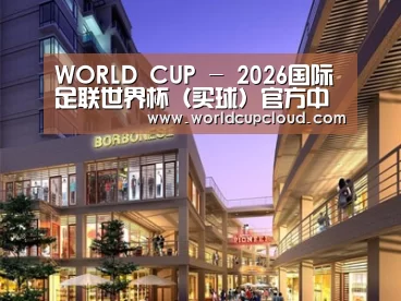 案例展示一