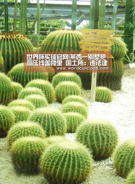 世界杯买球官网|莱西一别墅把高压线盖楼里 国土所:违法建筑(图1) 世界杯买球官网