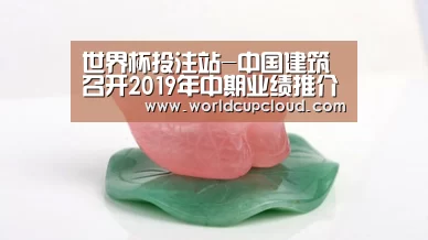 世界杯投注站-中国建筑召开2019年中期业绩推介会(图1) 2026世界杯买球官网