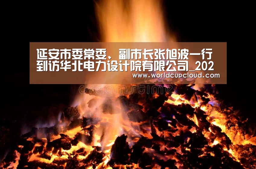 延安市委常委、副市长张旭波一行到访华北电力设计院有限公司_2026世界杯买球官网(图1) 世界杯买球官网