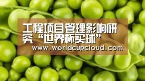 工程项目管理影响研究“世界杯买球”(图2) 世界杯买球官网