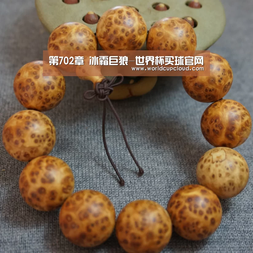 第702章 冰霜巨狼-世界杯买球官网(图2) 世界杯投注站