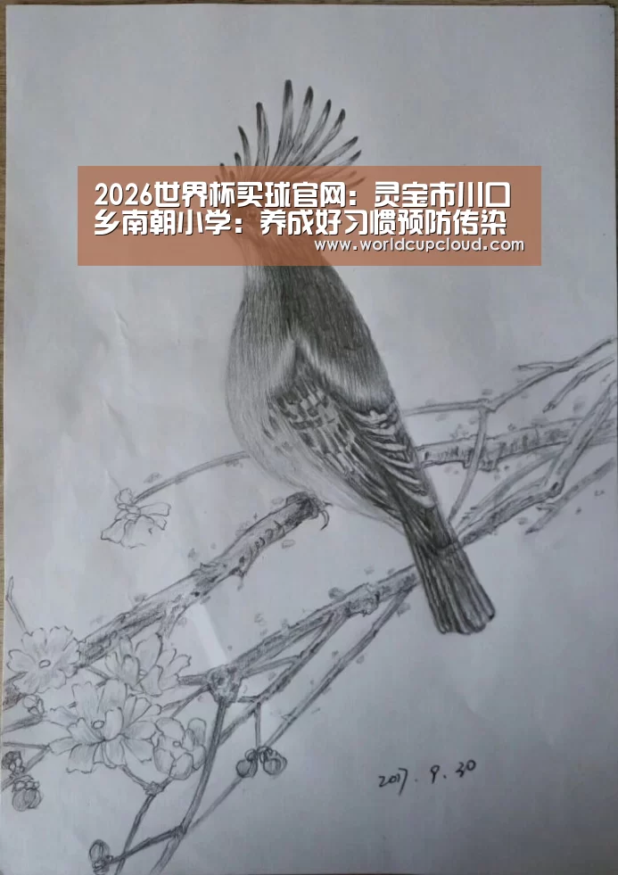 世界杯买球