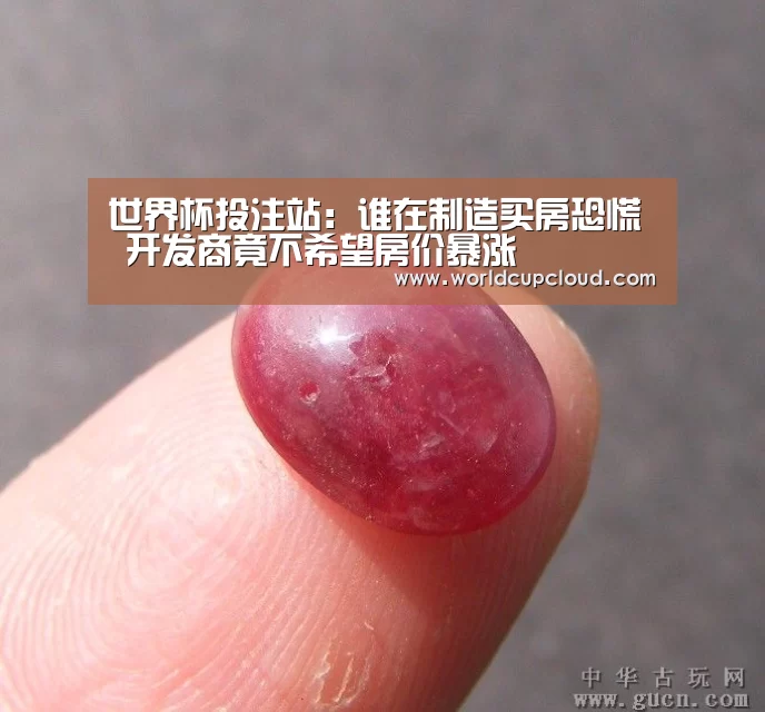 世界杯投注站:谁在制造买房恐慌 开发商竟不希望房价暴涨(图3) 世界杯买球官网