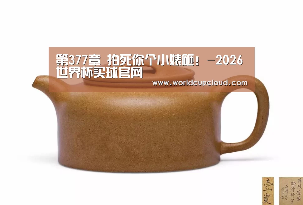 第377章 拍死你个小婊砸!-2026世界杯买球官网(图2) 世界杯买球
