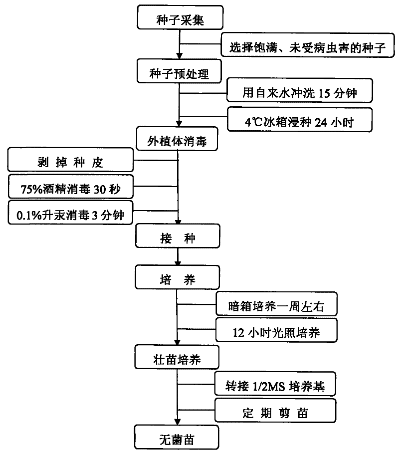 建筑使用功能方面的仿生建筑分析_世界杯投注站(图1) 世界杯投注站