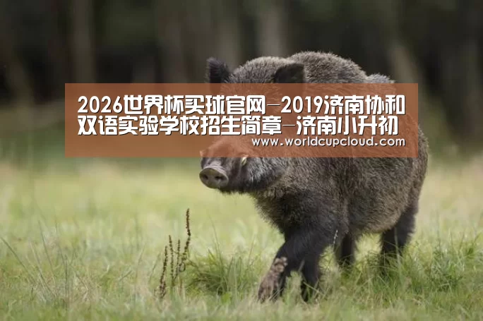 2026世界杯买球官网-2019济南协和双语实验学校招生简章-济南小升初(图3) 世界杯买球官网