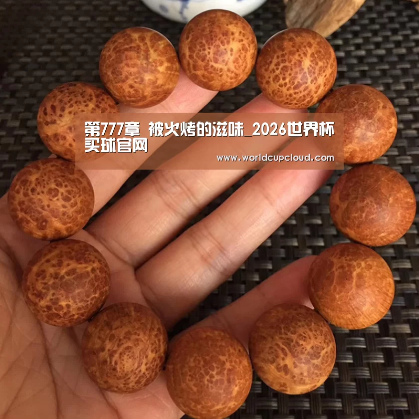 第777章 被火烤的滋味_2026世界杯买球官网(图1) 世界杯买球