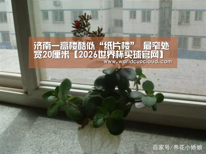 世界杯投注站