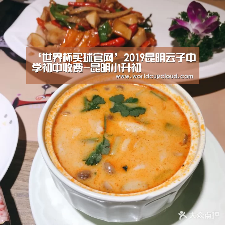 ‘世界杯买球官网’2019昆明云子中学初中收费-昆明小升初(图1) 世界杯投注站