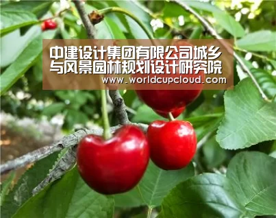 中建设计集团有限公司城乡与风景园林规划设计研究院中标“汉水文化广场及女神大道景观方案设计”-世界杯投注站(图1) 世界杯买球官网